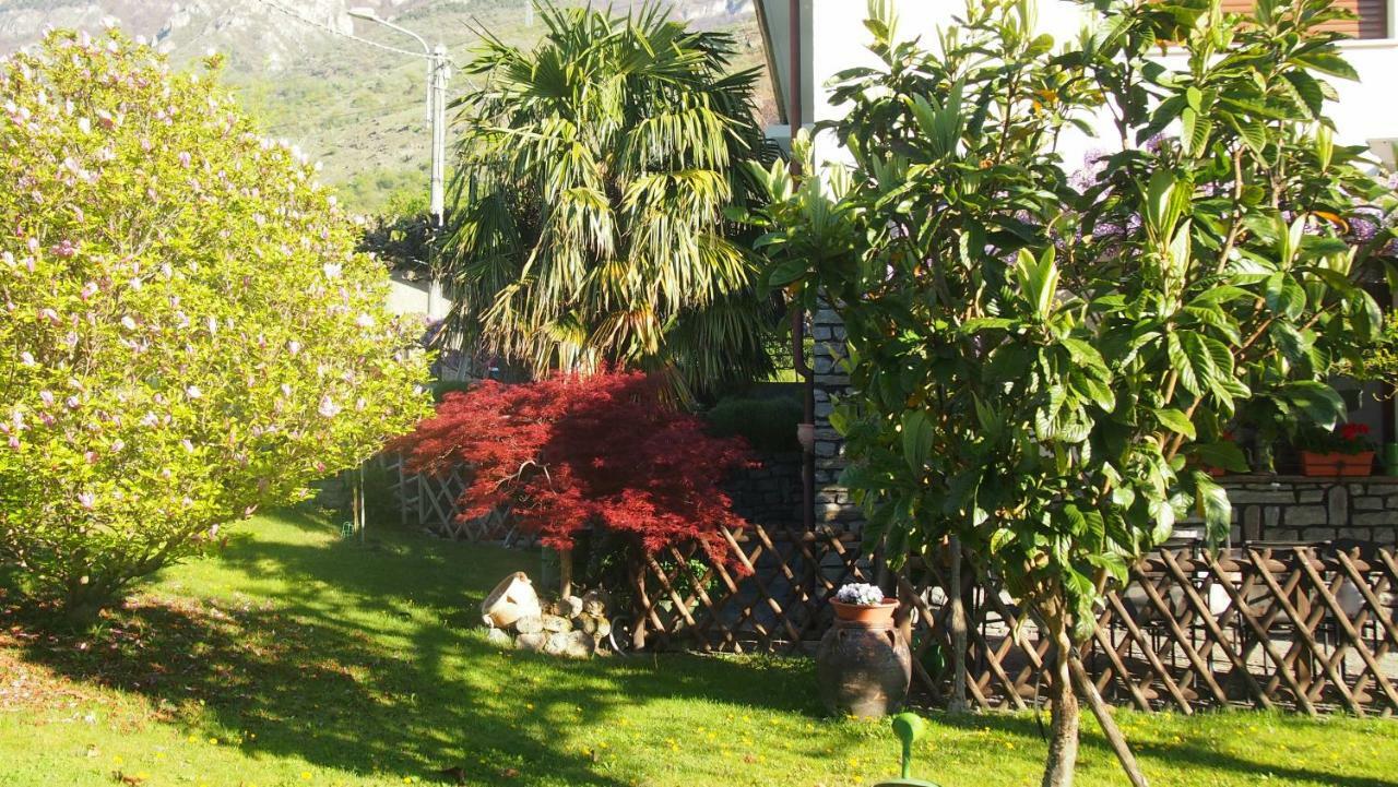 La Casa Dei Nonni *